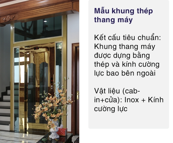 Thang máy gia đình - Thang Máy Taza Việt Nam - Công Ty CP Kỹ Thuật Và XNK Thang Máy Taza Việt Nam